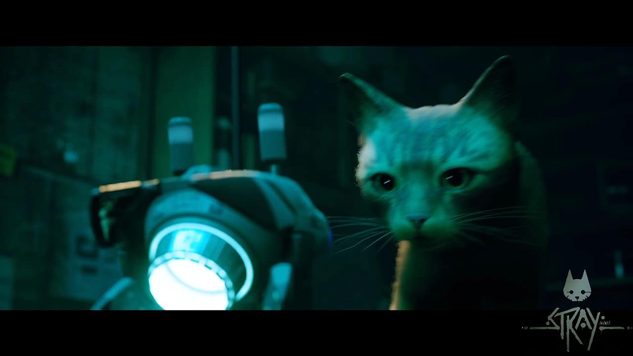 Lire la suite à propos de l’article Le monde de Stray : Un guide complet du Stray